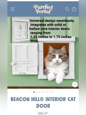 Fancy Pet door For Interiors For DOG or CAT